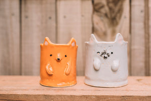 Finished and fired pottery pieces made by kids in class, Nambour